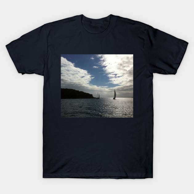 Late Afternoon Sail T-Shirt by KarenZukArt